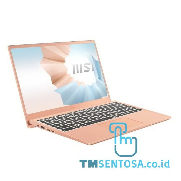Modern 14 B11SB (i5-1135G7, 8GB, 512GB, WIN10H, 14IN) - 9S7-14D215-222 - Beige Mousse