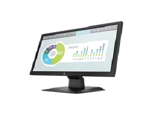 MONITOR P204v 19,5Inch