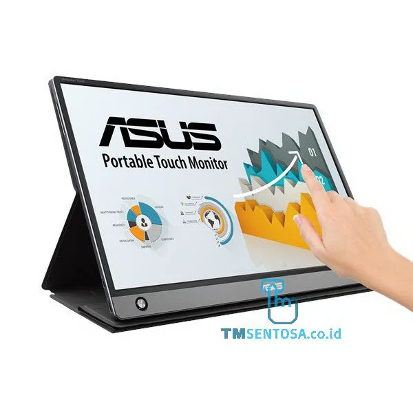 Monitor ZenScreen MB16AMT