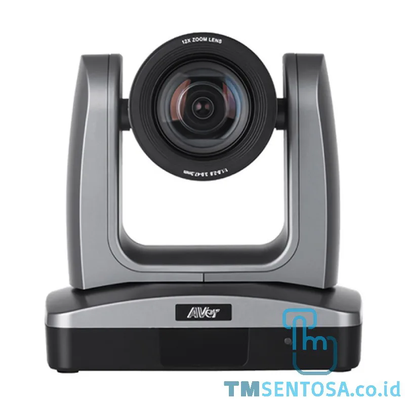 Professional Cameras [PTZ310]