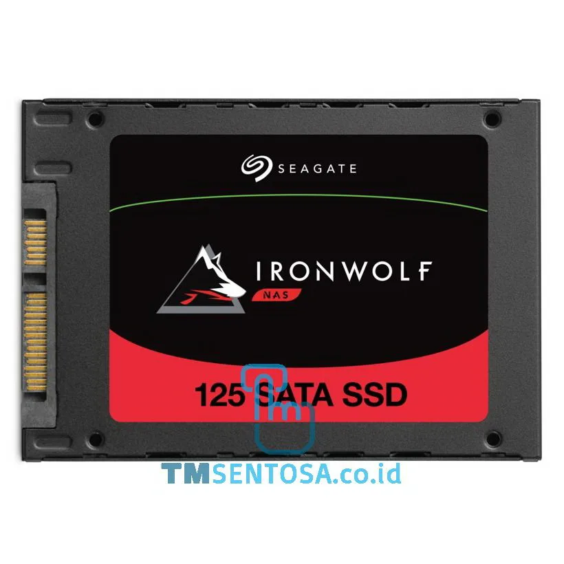 IronWolf 125 NAS SSD 4TB (ZA4000NM1A002)