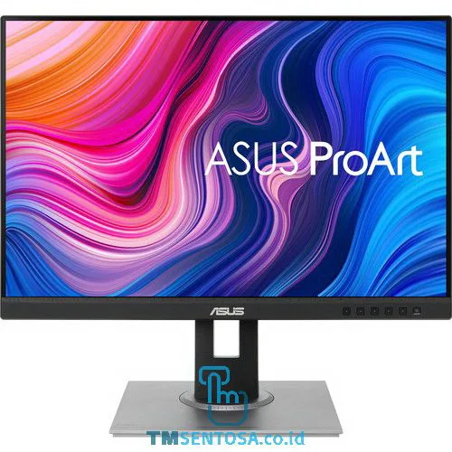 PROART DISPLAY PA248QV
