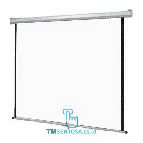 WALLSCREEN WS 96"