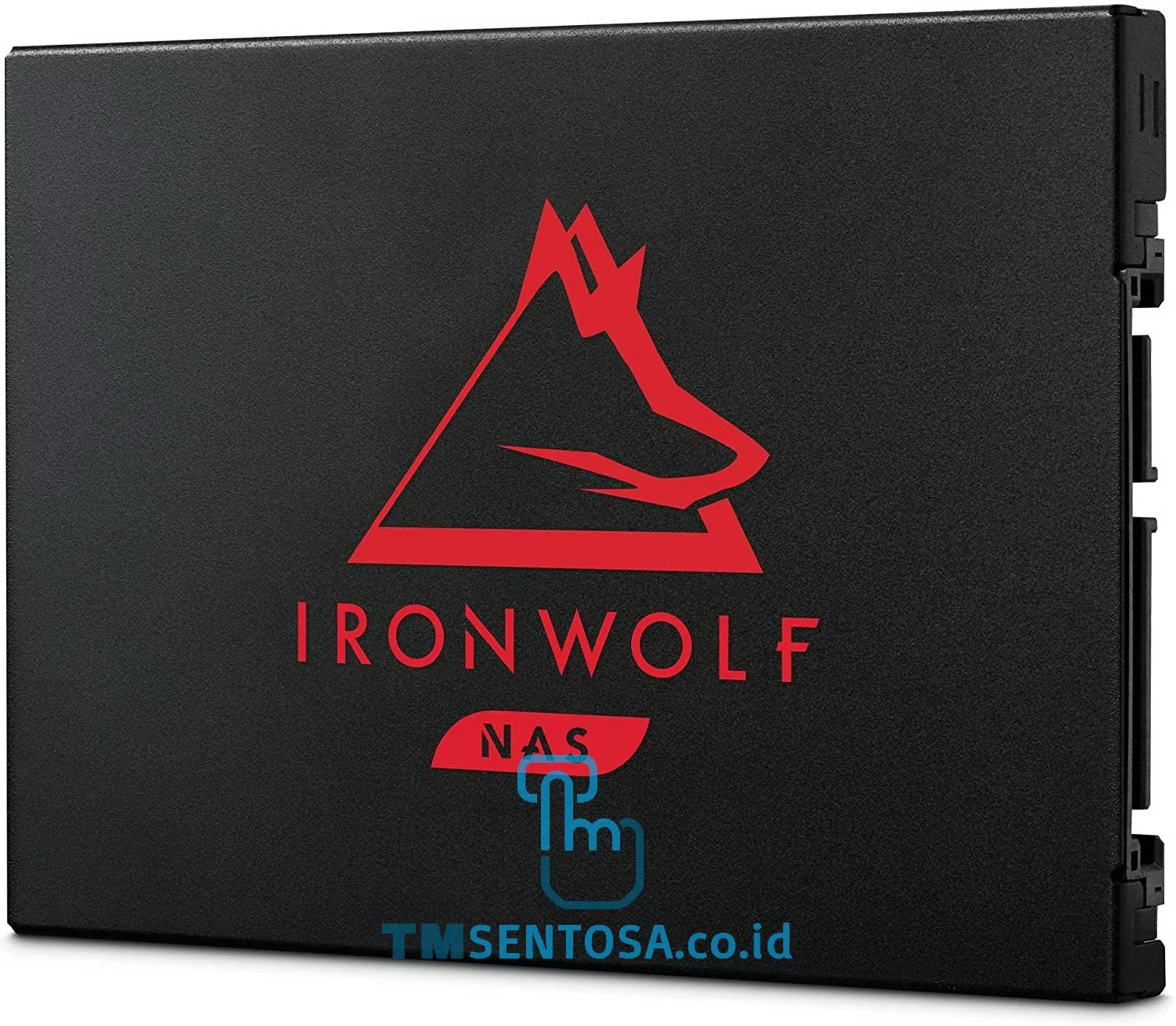 IronWolf 125 1TB [ZA1000NM1A002]