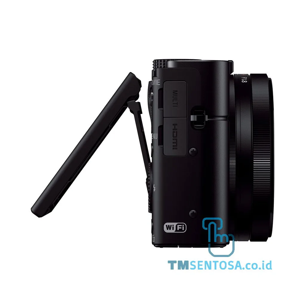 Cybershot RX series [DSC-RX100M3]
