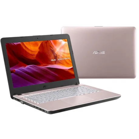 X441BA-GA621T [AMD A6-9225 4GB 1TB WIN10]