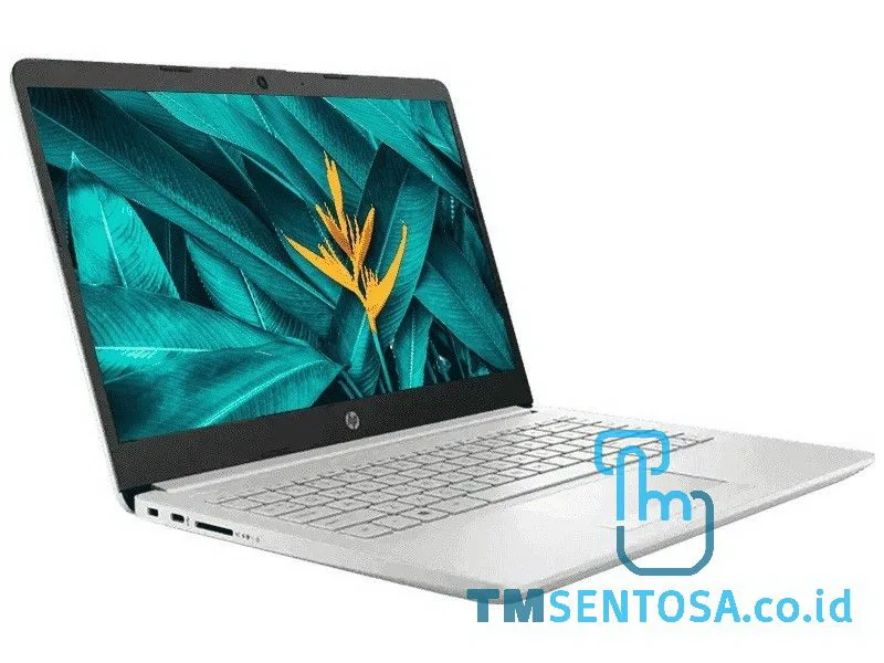 Laptop 14s-fq0011AU (AMD Ryzen5-4500U, 8GB, 512GB, WIN10H, 14IN) - SILVER